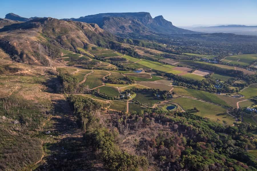 Cape Town: 2 Oceans Helicopter Flight with Boat Tour Ticket - Muizenberg and whale season: what you can realistically hope for