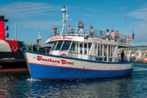 Cape Town: 30 Minute Harbour Boat Cruise with Seal Watching - Double-decker trawling boat + commentary: how the ride stays worth it