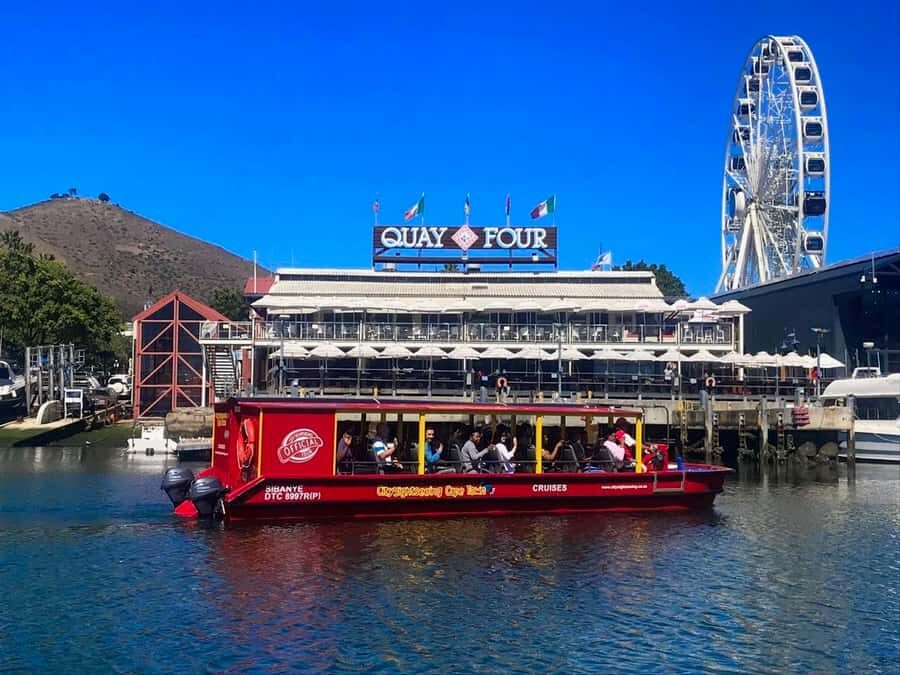 Cape Town: 30 Minute Seal-Watching Harbour Cruise - A 30-Minute Harbor Loop That Shows Cape Town Fast