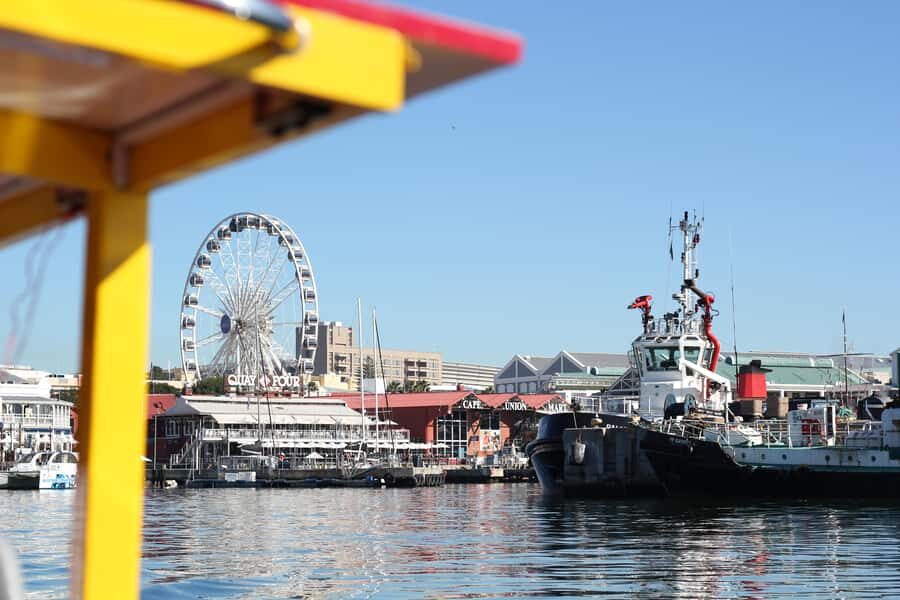 Cape Town: 30 Minute Seal-Watching Harbour Cruise - How the Audio Works: 15 Languages, Headsets, and Wi‑Fi