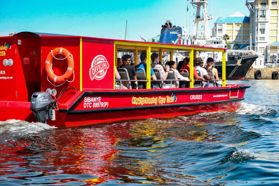Cape Town: 30 Minute Seal-Watching Harbour Cruise - Price and Value at About $6 for 30 Minutes