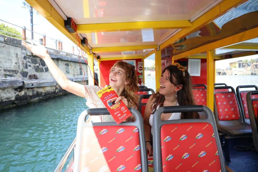 Cape Town: 30 Minute Seal-Watching Harbour Cruise - Time, Departures, and What the Flow Feels Like