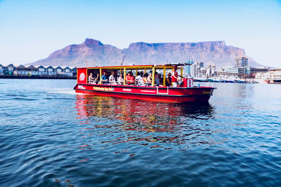 Cape Town: 30 Minute Seal-Watching Harbour Cruise - Practical Tips for a Smoother Ride