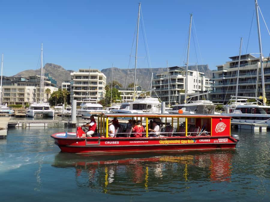Cape Town: 30 Minute Seal-Watching Harbour Cruise - Where to Catch It: V&A Waterfront and Two Oceans Aquarium