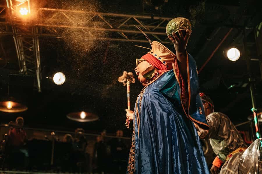 Cape Town: African Dinner, Drumming Experience with Transfer - Mali Puppets and Performers at Your Table: Close-Up Culture, Not a Distant Stage