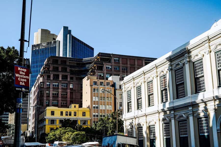 Cape Town: Art, Culture & History Walking Tour - The Company’s Garden: a calmer pause mid-story