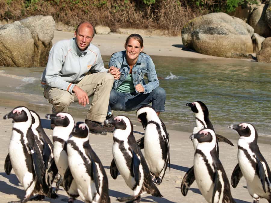 Cape Town: Cape of Good Hope & Penguins Day Tour with Pickup - The Big Takeaways Before You Go