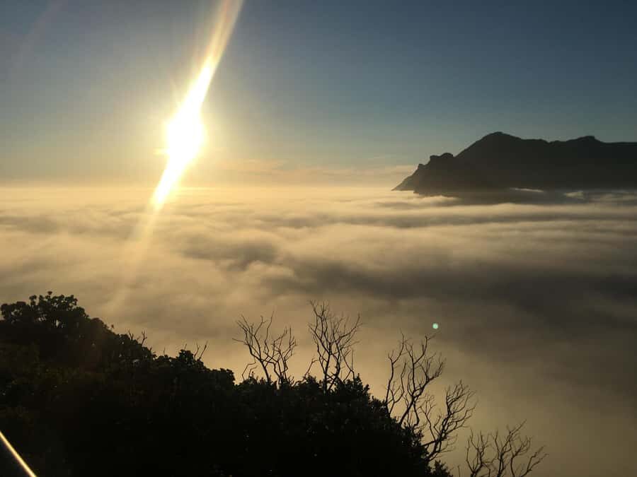 Cape Town: Cape of Good Hope & Penguins Full-Day Guided Tour - Pacing, comfort, and what you’ll actually spend