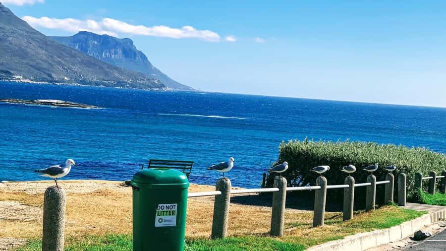 Cape Town: Cape of Good Hope & Penguins Full-Day Guided Tour - The “Cape Peninsula in one day” idea that actually makes sense
