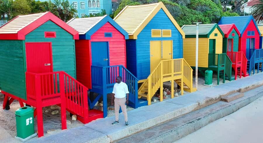 Cape Town: Cape of Good Hope & Penguins Full-Day Guided Tour - Hout Bay harbor and Seal Island: the optional part is worth understanding