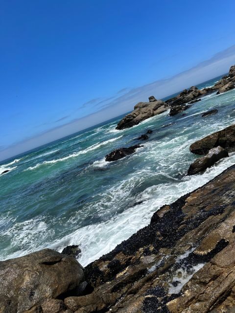 Cape Town: Cape of Good Hope & Penguins Full-Day Guided Tour - Chapman’s Peak Drive viewpoints: toll included, photos guaranteed
