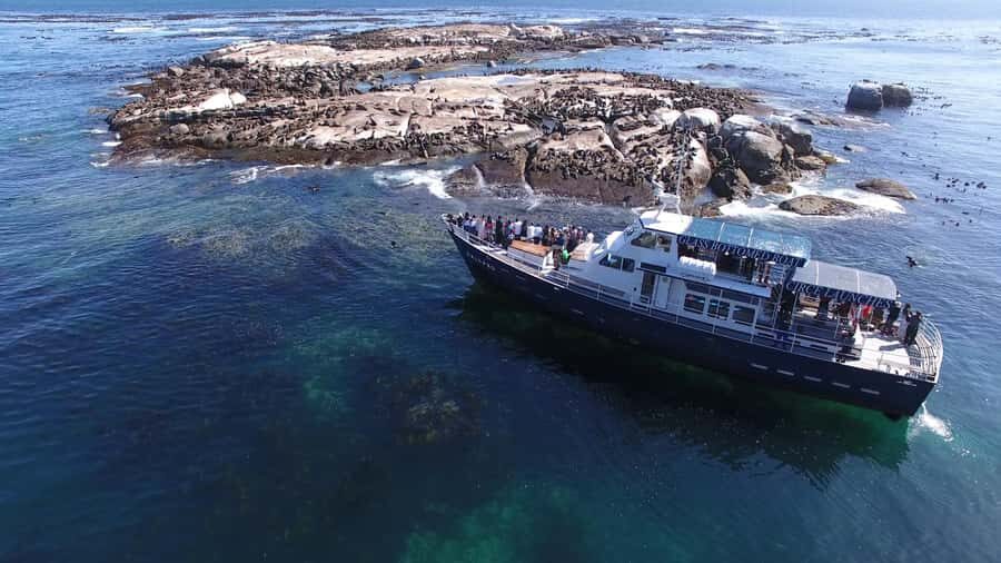 Cape Town: Cape of Good Hope, Seals and Penguins Day Tour - Camp’s Bay, Bo Kaap, and the best roadside photo moments