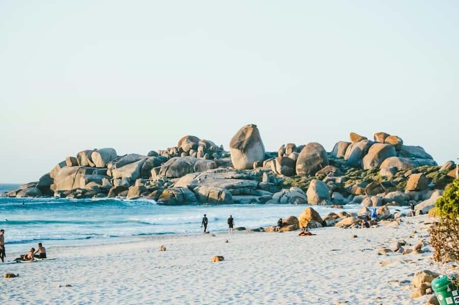 Cape Town: Cape Point and Penguin Colony Full Day Tour - Who should book this Cape Peninsula tour