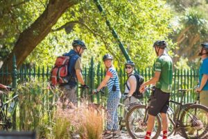 Cape Town City Cycling Tour - The Pace and Group Size: Easy Enough, Not Too Casual