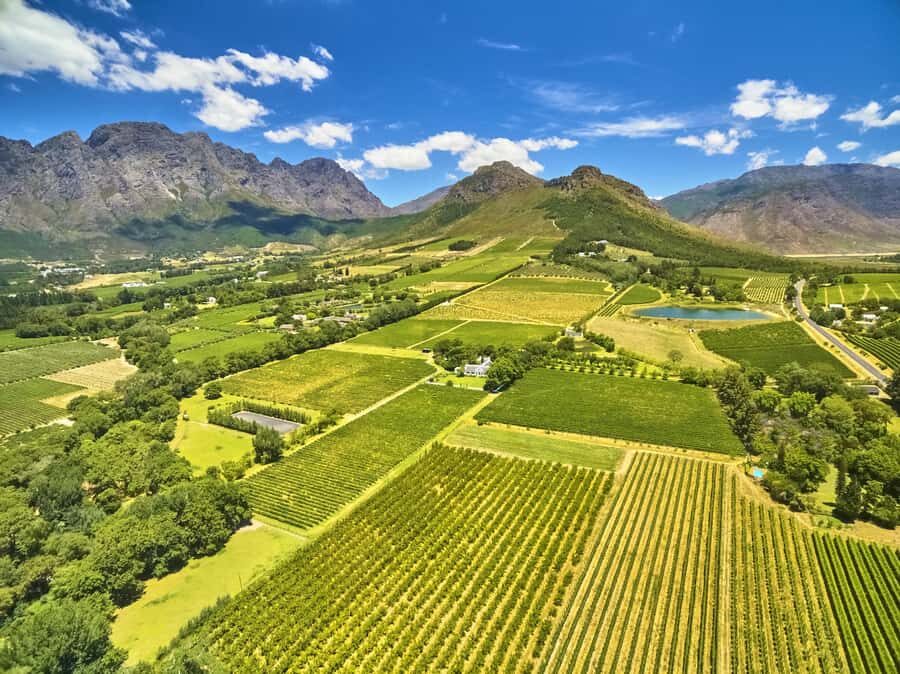 Cape Town: Full-Day Wine Tasting Tour with Wine Tram - Franschhoek Lunch Break: The Gourmet-Capital Stroll Part