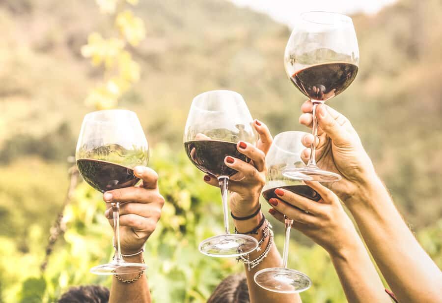 Cape Town: Full-Day Wine Tasting Tour with Wine Tram - Tips to Make the Day Comfortable (And More Enjoyable)