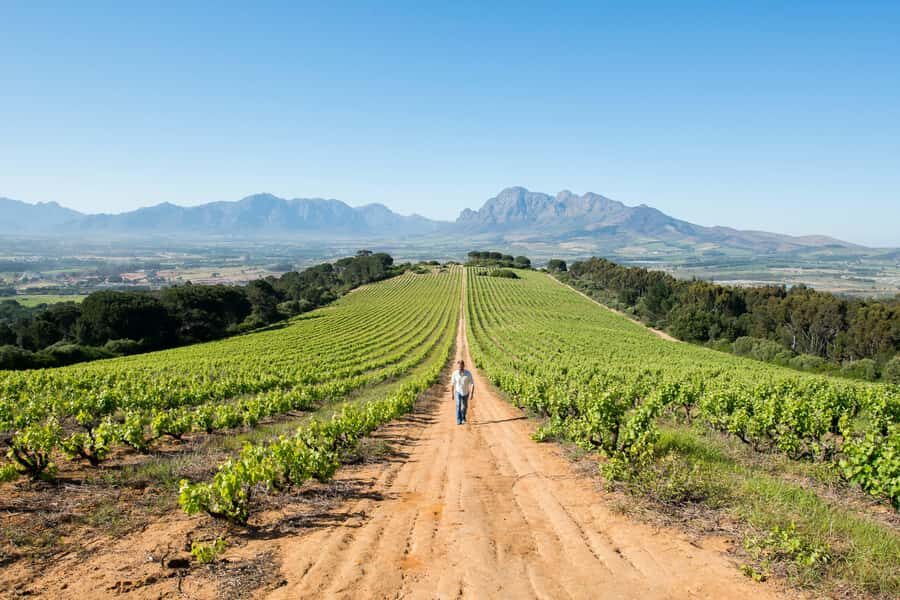 Cape Town: Full-Day Winelands Tour with Wine Tastings & Food - Key things you’ll care about most