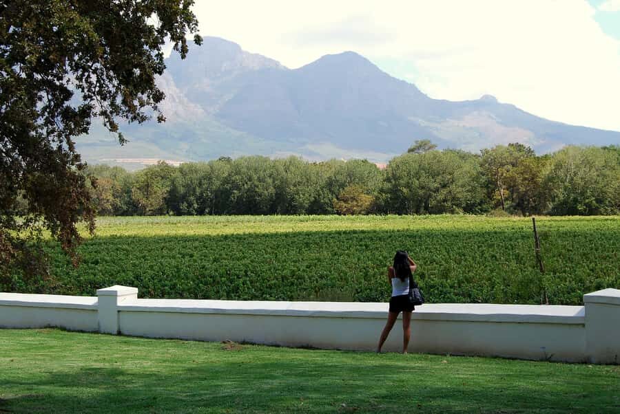 Cape Town: Full-Day Winelands Tour with Wine Tastings & Food - Cape Town pickup to Paarl cheese-and-wine start: the morning flow