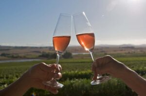 Cape Town: Full-Day Winelands Tour with Wine Tastings & Food - Franschhoek: the French enclave where the wines feel different