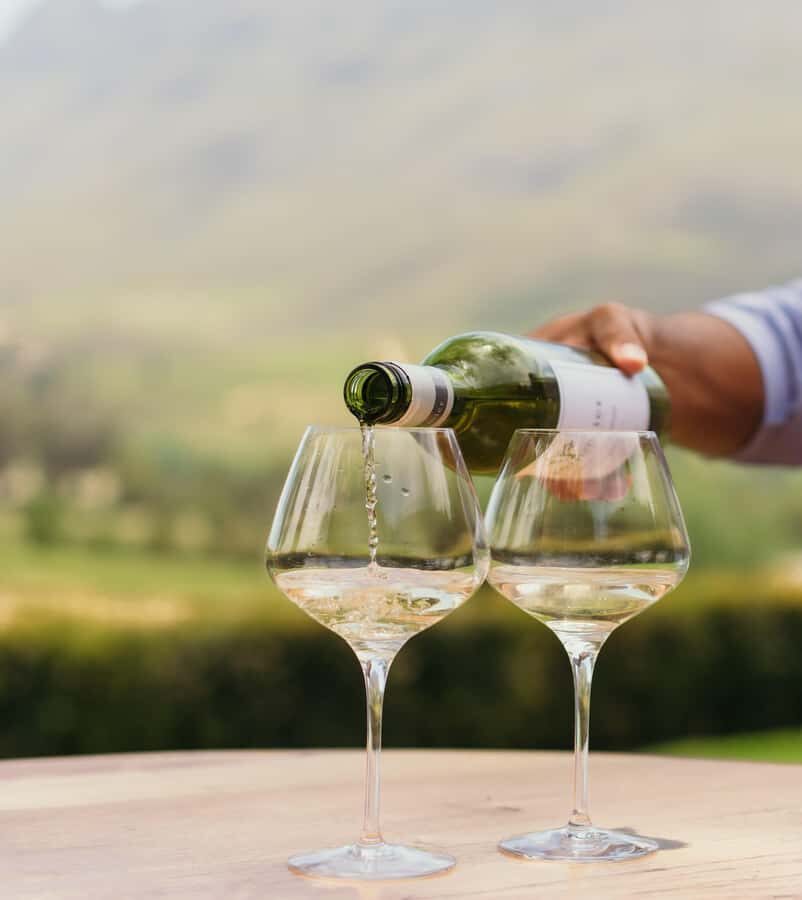 Cape Town: Full-Day Winelands Tour with Wine Tastings & Food - Stellenbosch and the Pinotage conversation: learning the why behind the flavor