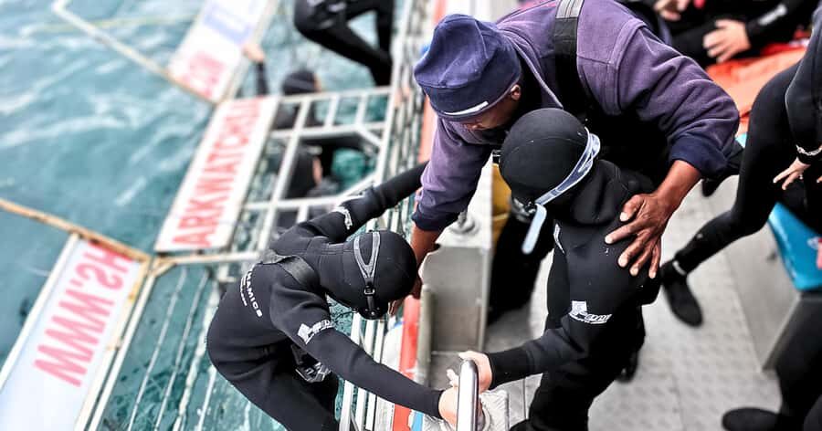 Cape Town: Gansbaai Eco-Friendly Shark Cage Diving Cruise - Slashfin and the cage routine: what happens before you’re face-to-face
