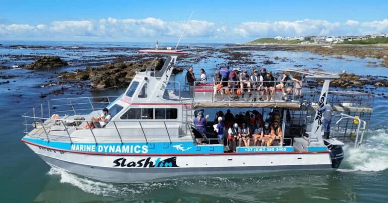 Cape Town: Gansbaai Eco-Friendly Shark Cage Diving Cruise - The Great White House: breakfast, safety talk, and meeting the team