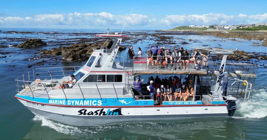 Cape Town: Gansbaai Eco-Friendly Shark Cage Diving Cruise - The Great White House: breakfast, safety talk, and meeting the team