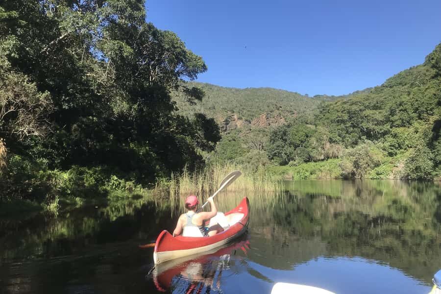 Cape Town: Garden Route and Addo Elephant Park 6-Day Safari - Day 2: Route 62 wine tasting, then Oudtshoorn’s ostrich world