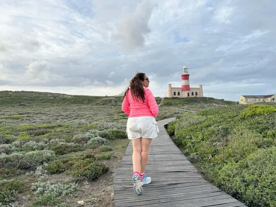 Cape Town: Garden Route and Addo Elephant Park 6-Day Safari - Day 4: Knysna Heads views, Bloukrans bungee, and Tsitsikamma forests by the sea