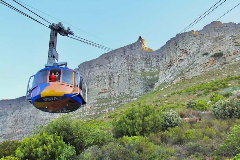 Cape Town: Guided Half-Day City Tour with Table Mountain - From the Castle of Good Hope to Parliament: power and old streets