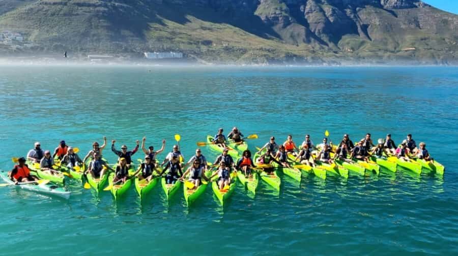 Cape Town: Guided Kayaking in Hout Bay - Should you book guided kayaking in Hout Bay?
