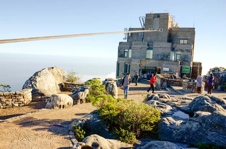Cape Town: Half Day Table Mountain and Cape Town City Tour - Morning vs Afternoon: how timing affects Table Mountain