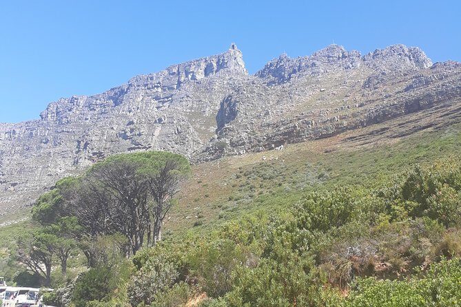 Cape Town Halfday City and Table Mountain Tour - The Botany Bay and Sea Point Stretch: City-Life Views Between Viewpoints