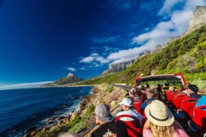 Cape Town: Hop-On Hop-Off Bus Tour with Optional Cruise - The Red, Blue, and Purple routes: what to expect in real time