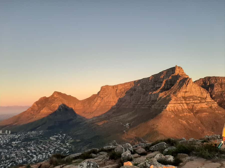 Cape Town: Lion's Head Sunrise with coffee or Sunset Hike - Silver Leaf Groves to First Big Views: Where the Hike Starts to Shine