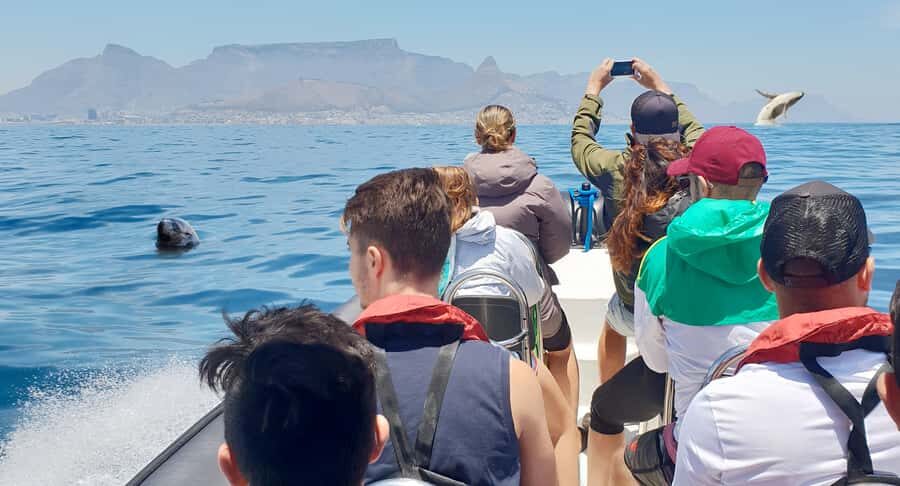 Cape Town: Marine Big 5 Ocean Safari from V&A Waterfront - Key moments worth the ticket