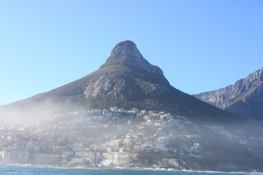 Cape Town: Marine Big 5 Ocean Safari from V&A Waterfront - From V&A Waterfront To Open Atlantic: The 90-Minute Flow