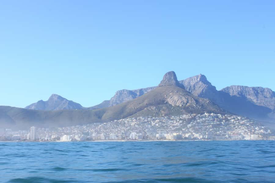 Cape Town: Marine Big 5 Ocean Safari from V&A Waterfront - Who This Safari Fits Best (and Who Should Skip It)