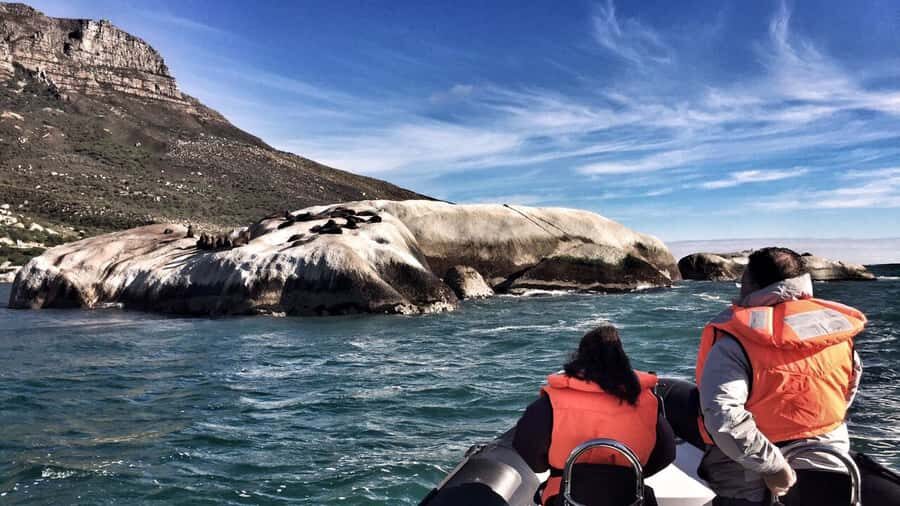 Cape Town: Marine Big 5 Ocean Safari from V&A Waterfront - Should You Book This Cape Town Marine Big 5 Ocean Safari?