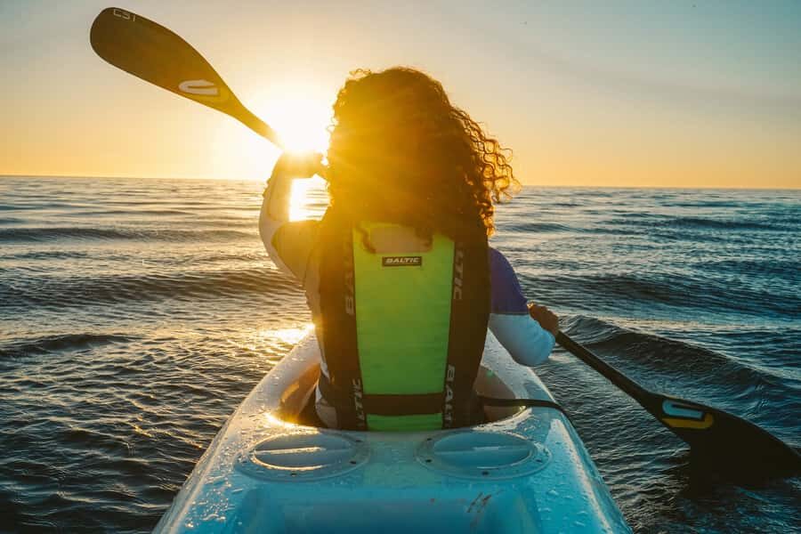 Cape Town: Marine Life Kayak Tour From the V&A Waterfront - Time on the water vs. price: what you’re really buying