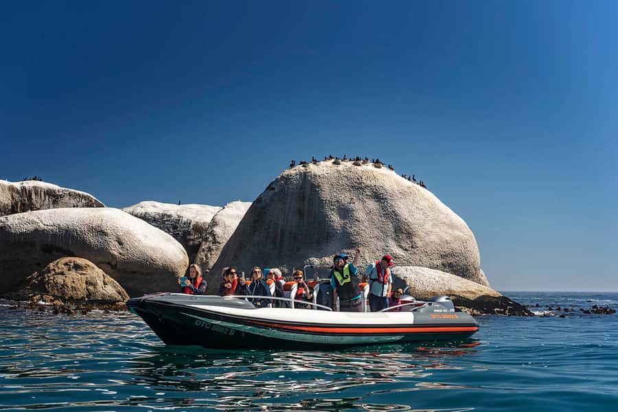 Cape Town: Marine Wildlife Tour from the V&A Waterfront - Key highlights to know before you go