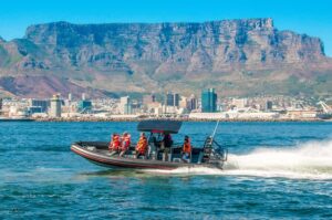 Cape Town Ocean Safari: Speed Boat Adventure in Table Bay - What One Hour on a Speedboat Really Means