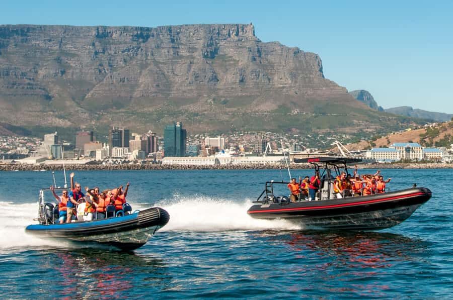 Cape Town Ocean Safari: Speed Boat Adventure in Table Bay - The Table Bay Views You Can’t Recreate From Shore