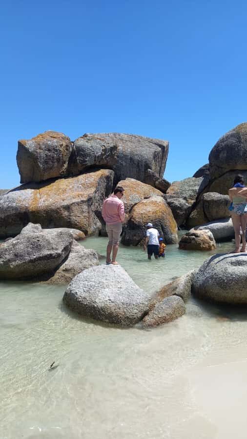 Cape Town: Penguin Watching at Boulders Beach Half Day Tour - Chapman’s Peak Drive: the coast road everyone talks about