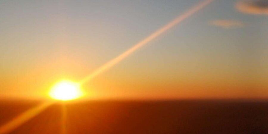 Cape Town: Penguins and Cape of Good Hope Sunset Tour - Signal Hill sunset finish: the easy win for a short day
