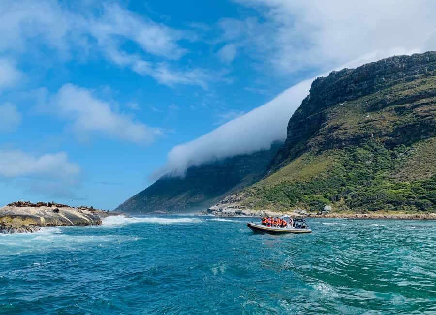 Cape Town: Penguins & Cape of Good Hope Day Tour with Pickup - Key things to know before you go