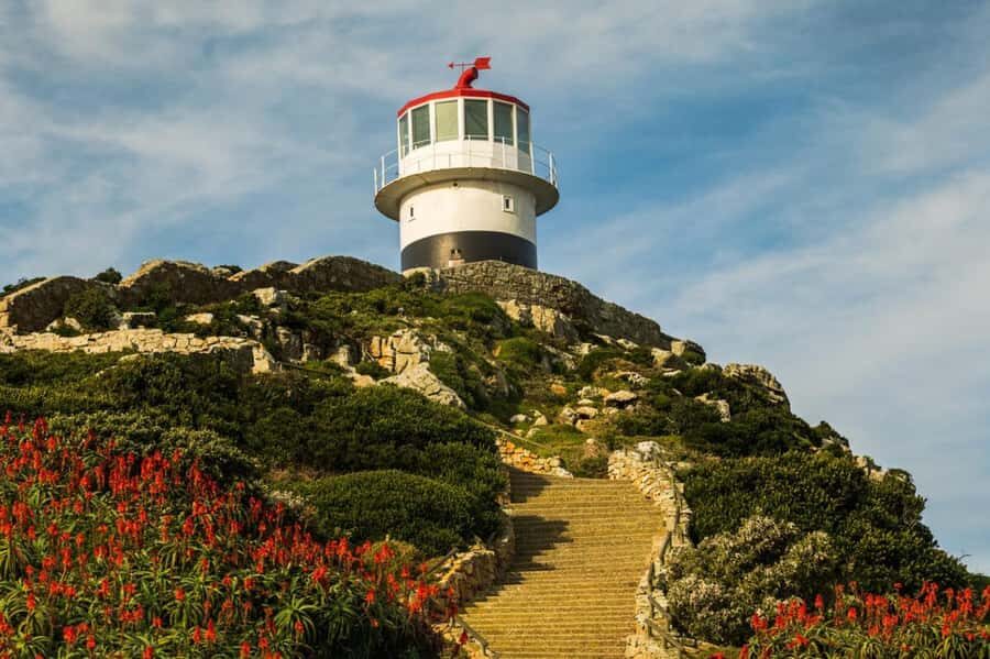 Cape Town: Penguins & Cape of Good Hope Day Tour with Pickup - Price and value: what the $29 covers, and what you must budget for