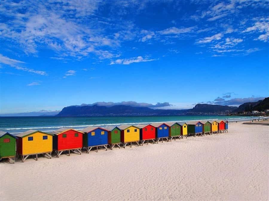 Cape Town: Penguins & Cape of Good Hope Half-Day Tour - Why this half-day route makes sense for Cape Town