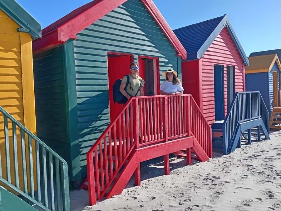 Cape Town: Penguins & Cape of Good Hope Half-Day Tour - Who should book this tour, and who should skip it