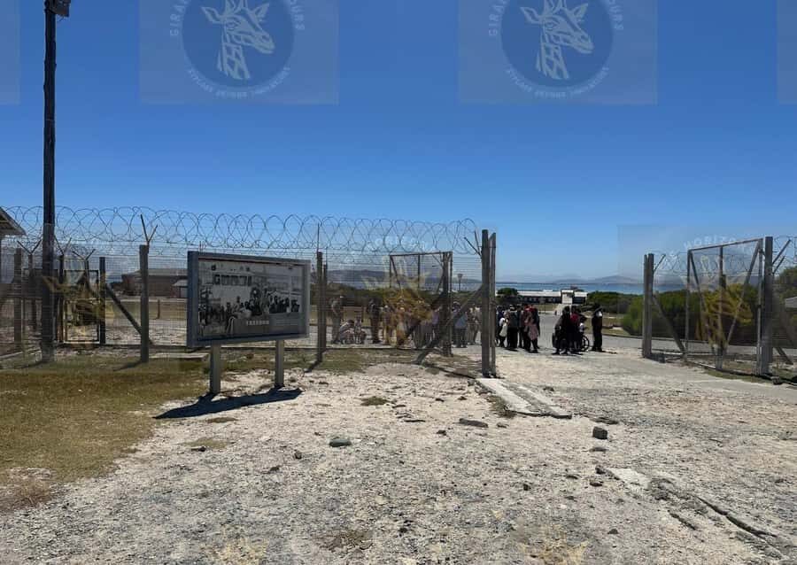 Cape Town: Robben Island Ferry with Prison Ticket and Tour - Free Time for Views: Where Reflection Happens